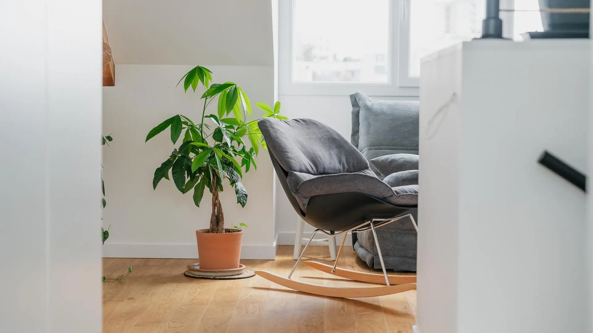 Logement Calme Proche Centre Ville Rennes Apartament